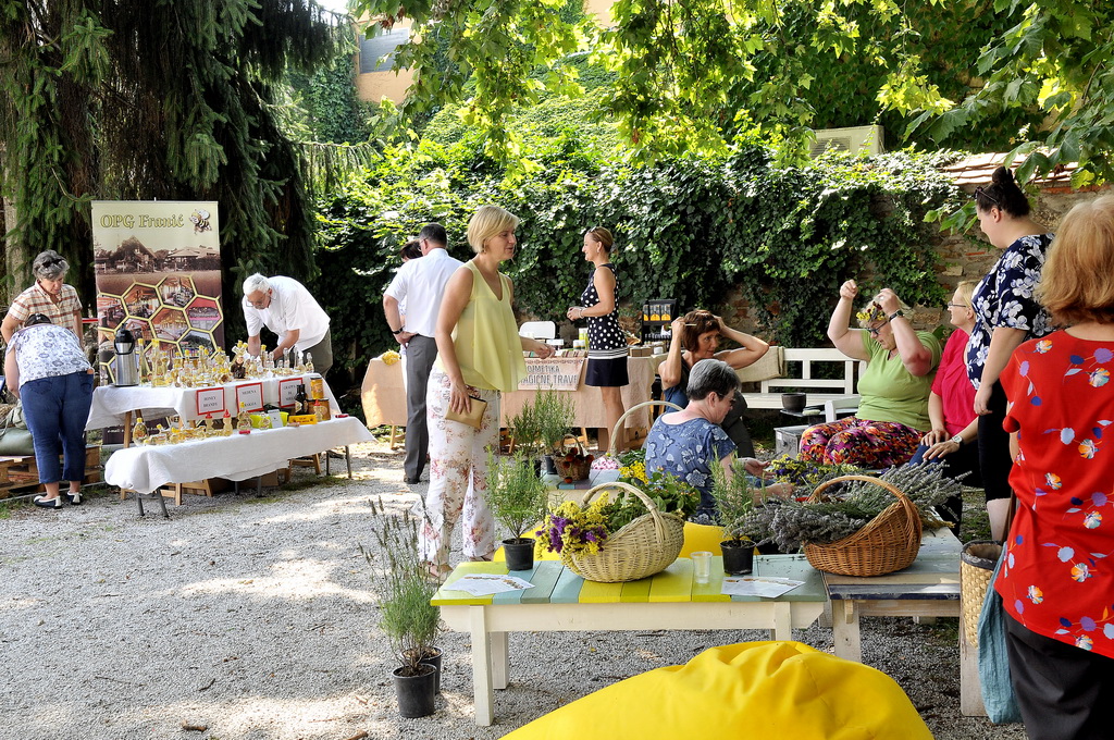 Festival dvorišta 2019., jutarnji dio