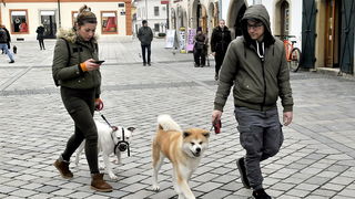 Klikom po Varaždinu, 19.1.2019. Klikom po Varaždinu, 19.1.2019.