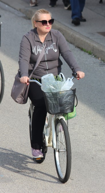 Image 5492696 (auto)