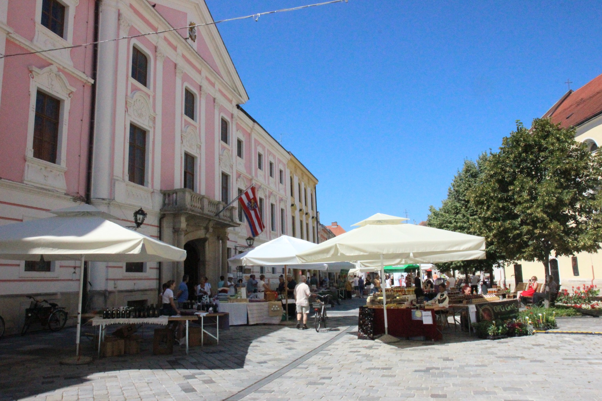 Image 3705091 (auto)