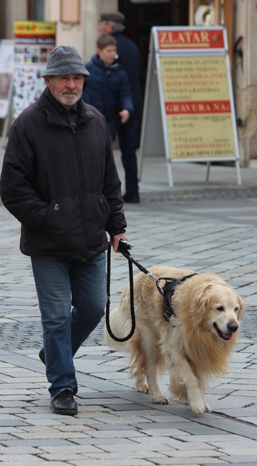 Image 5627707 (auto)