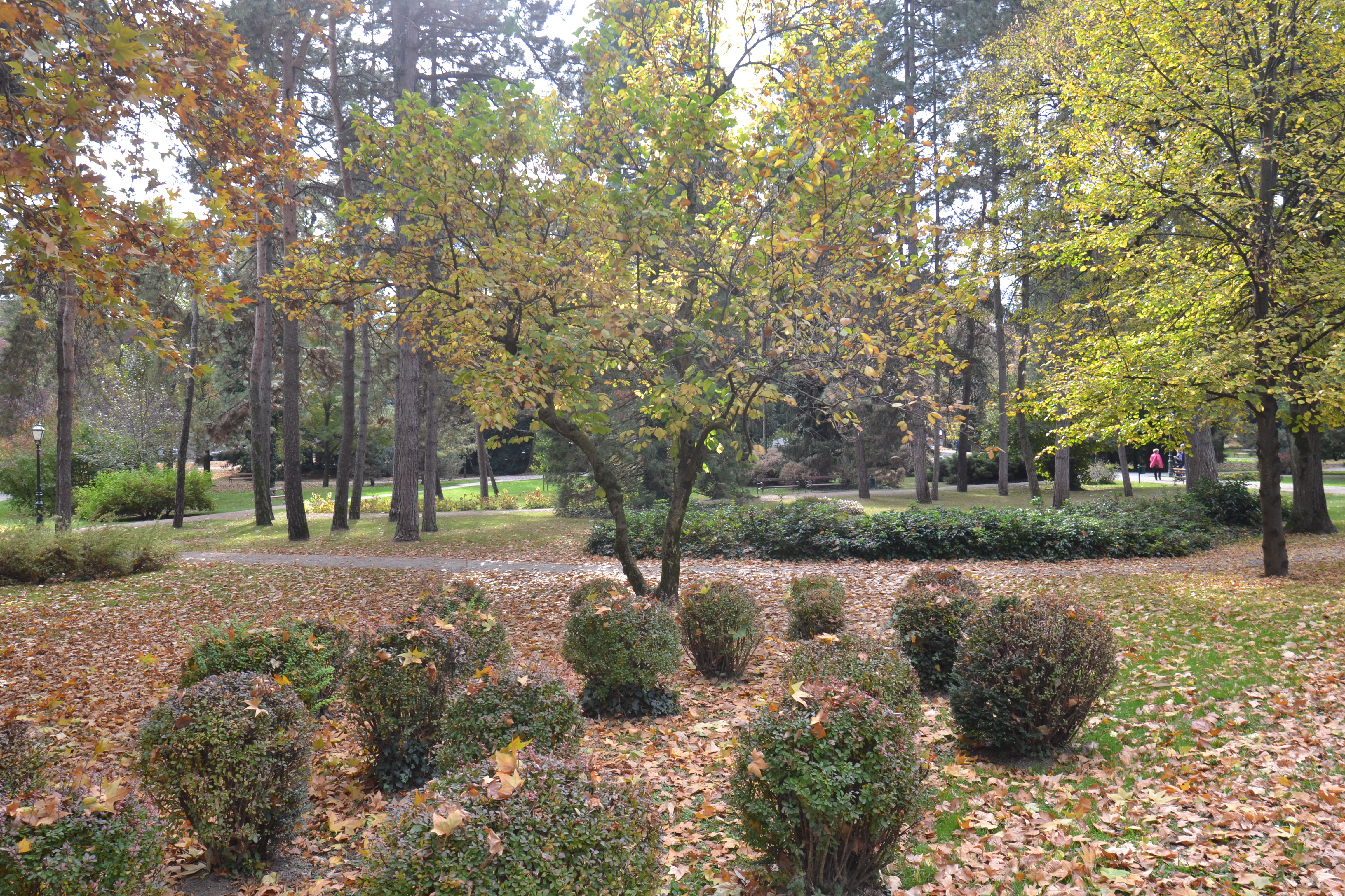 Šetnja Varaždinom u sklopu projekta ‘Čiji je ovo grad?’ Šetnja Varaždinom u sklopu projekta ‘Čiji je ovo grad?’