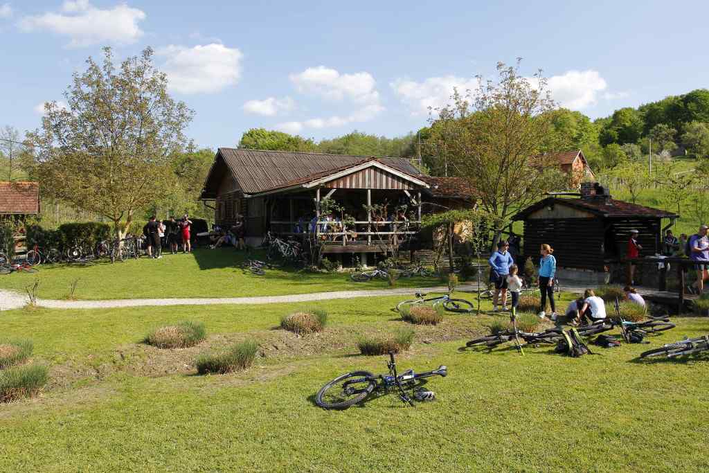 beretinecbbkasinovastaza2193697