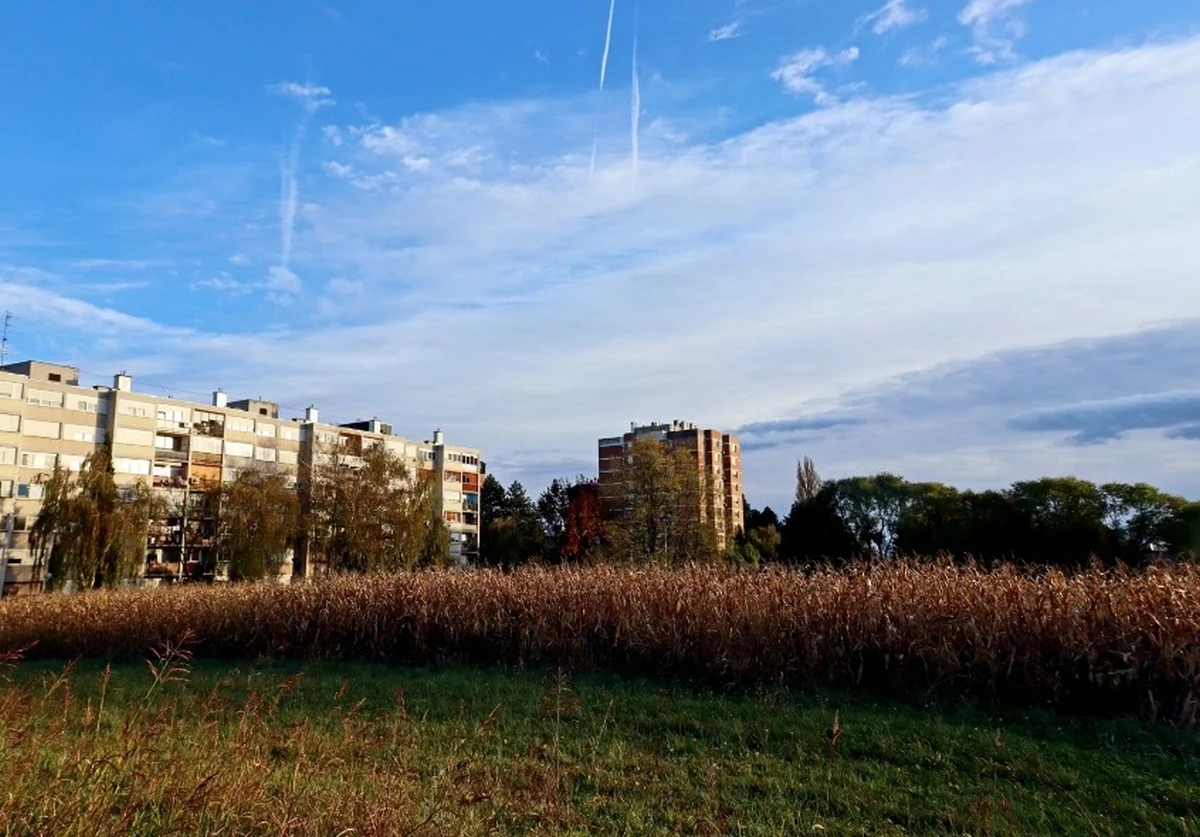 banfica – stare slike – privatna arhiva (5)