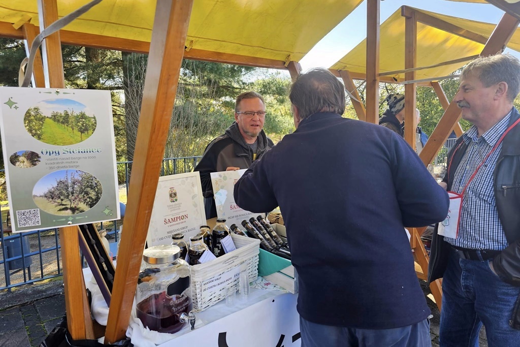 Image 5897937 (auto)