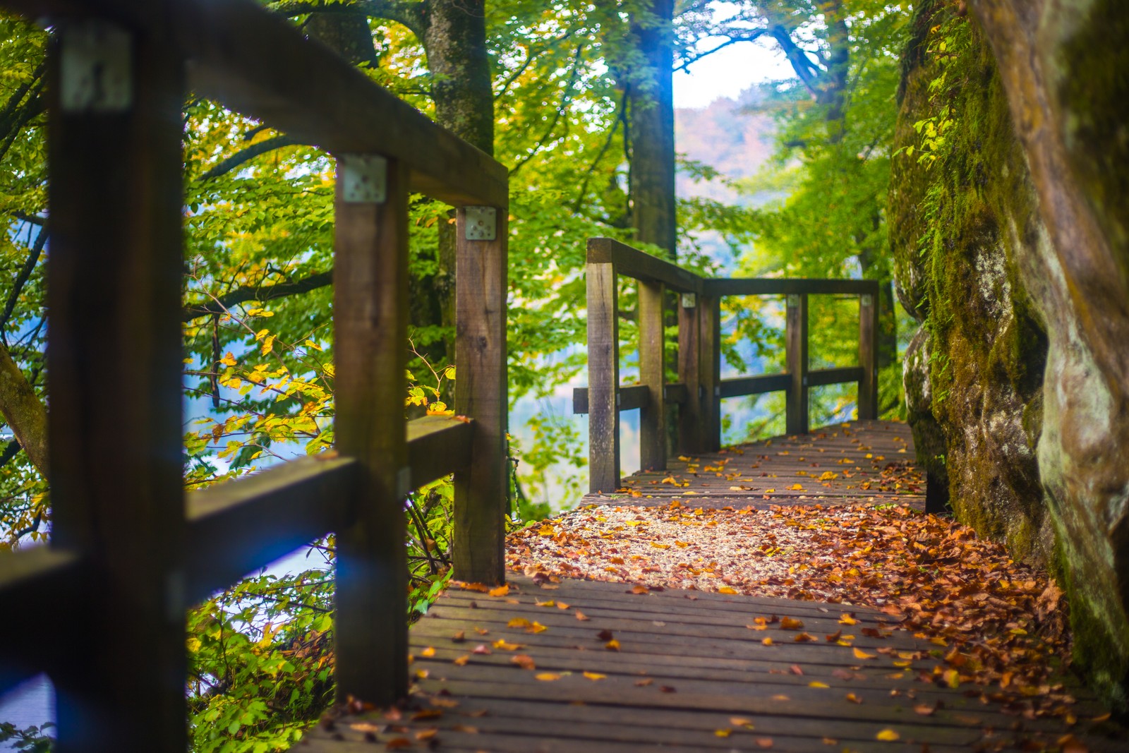 Jesen u Trakošćanu