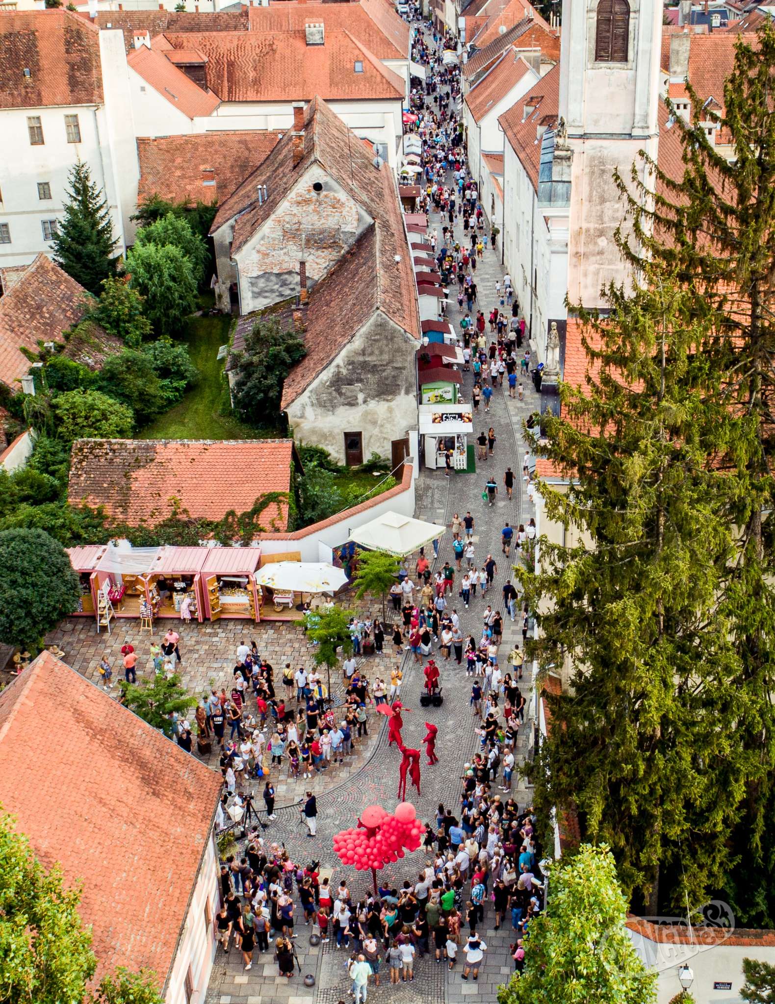 Image 5460096 (auto)