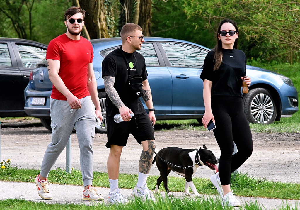 Image 6004953 (auto)