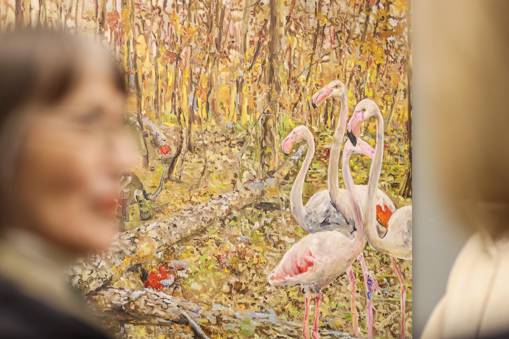 Image 5984233 (auto)