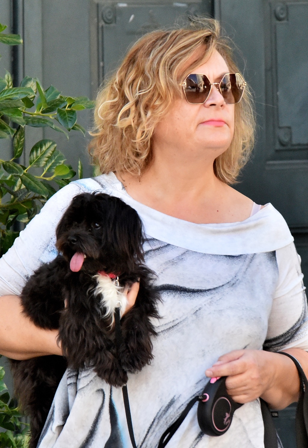 Image 5830347 (auto)