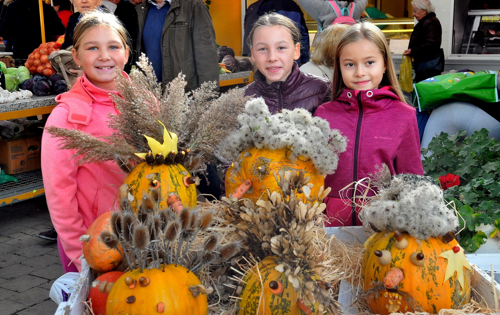 6. Festival tikvi 6. Festival tikvi