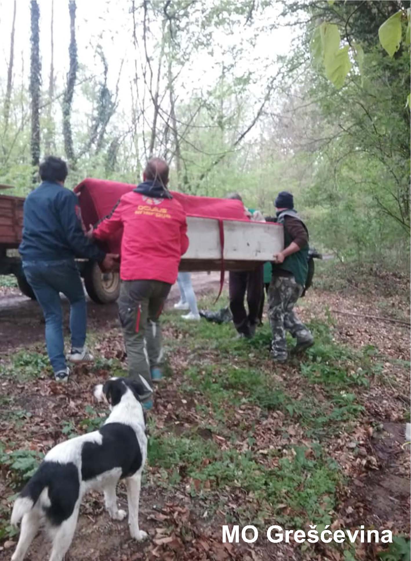 Image 3553237 (auto)