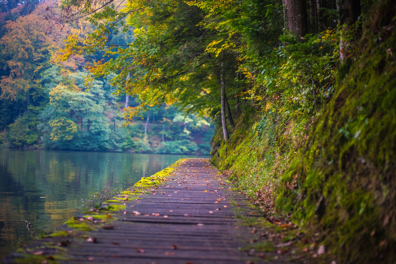 Jesen u Trakošćanu