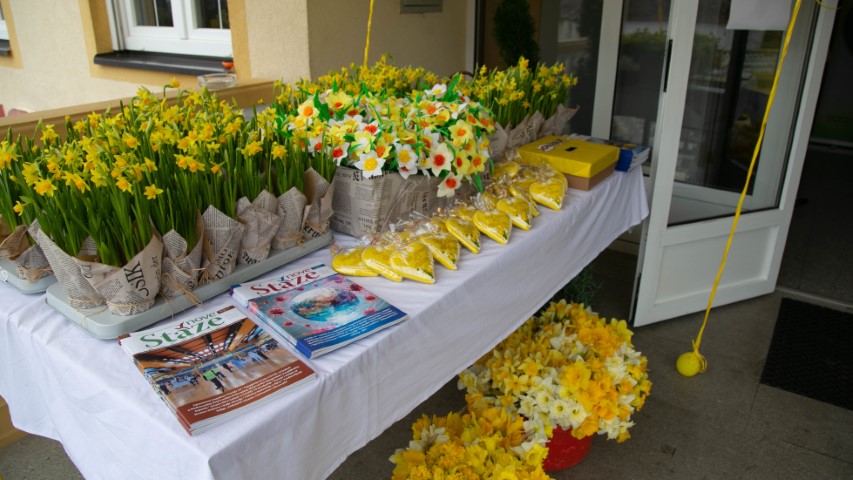 Image 5642129 (auto)