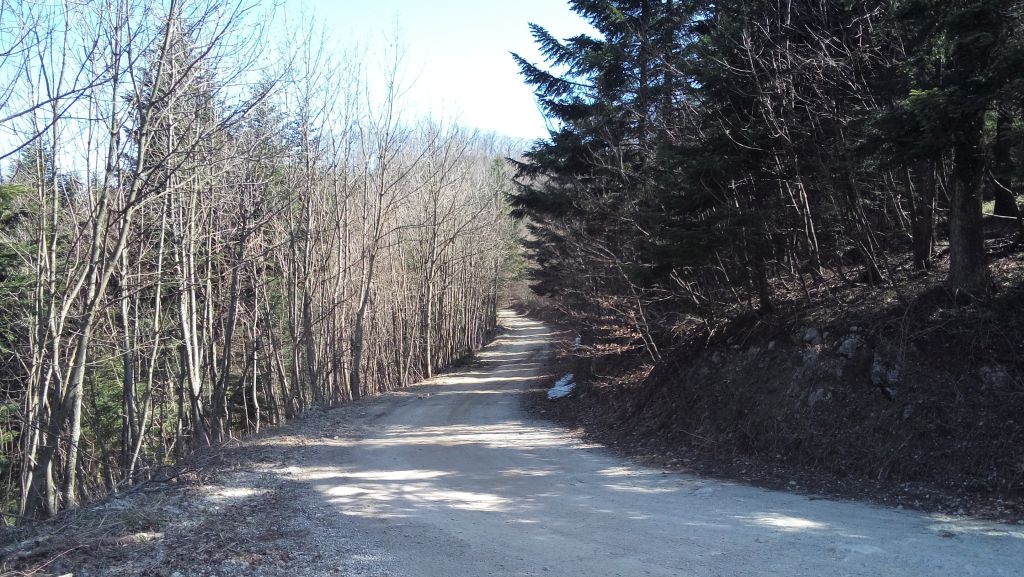 20150411105853648120