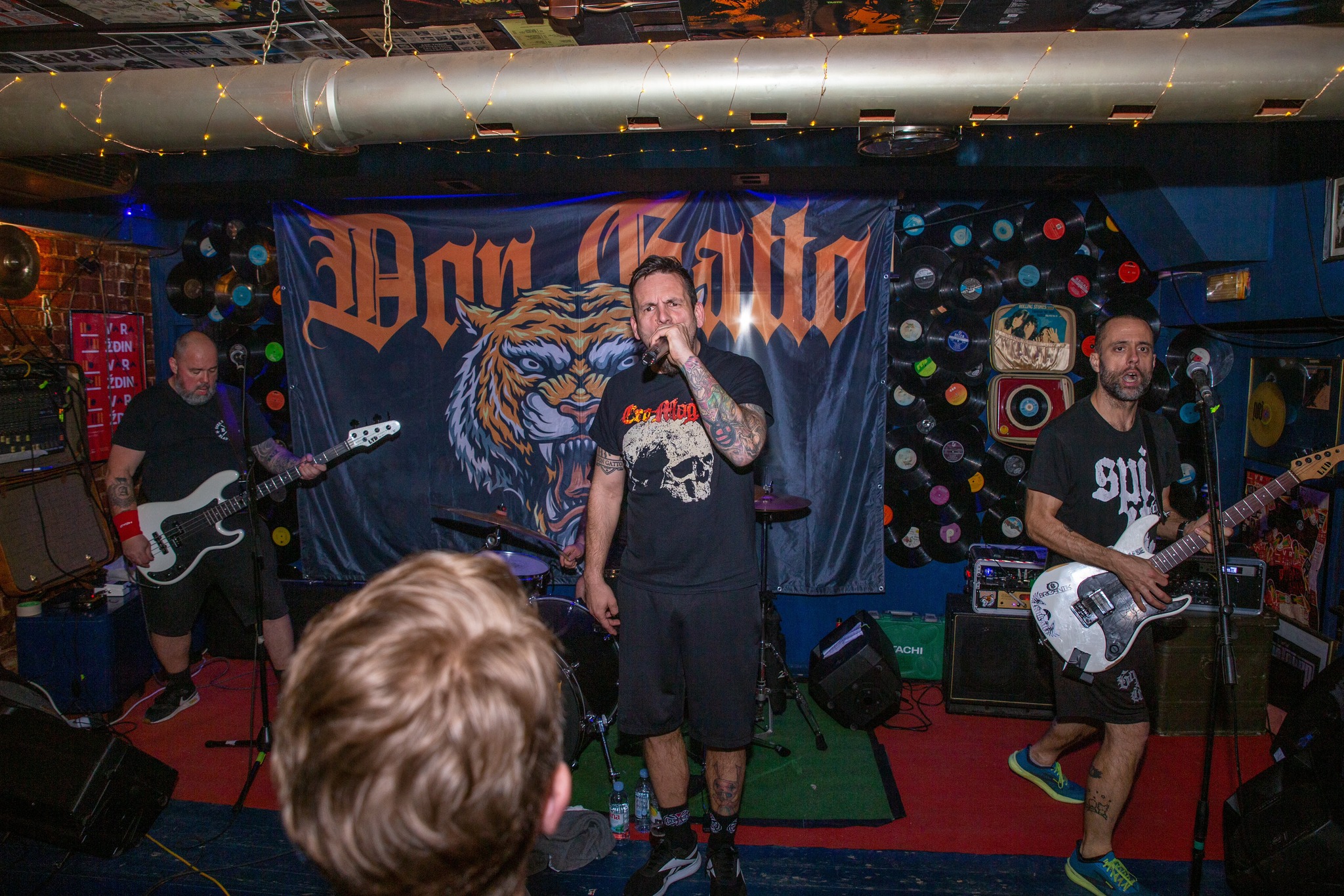 don gatto youth against