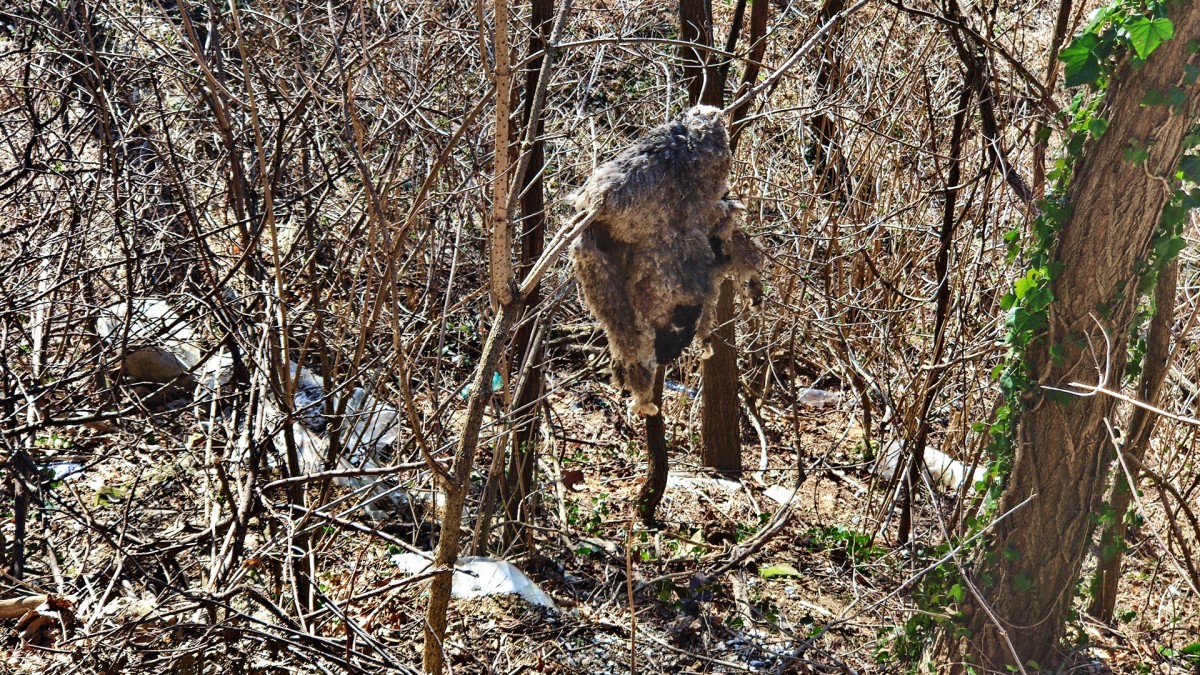 nelegalna odlagališta otpada, otpad nelegalna odlagališta otpada, otpad