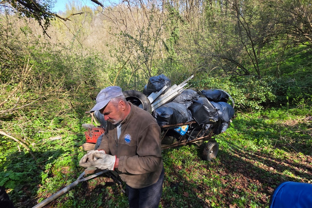 bednja-zelena cistka (10) bednja-zelena cistka (10)