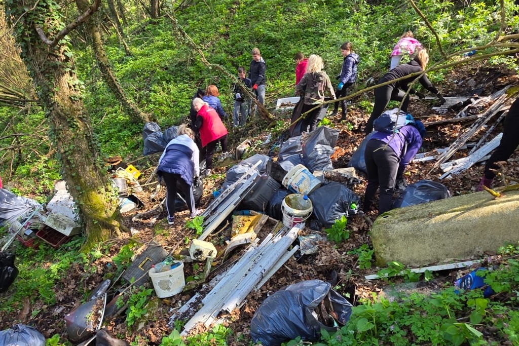bednja-zelena cistka (11) bednja-zelena cistka (11)