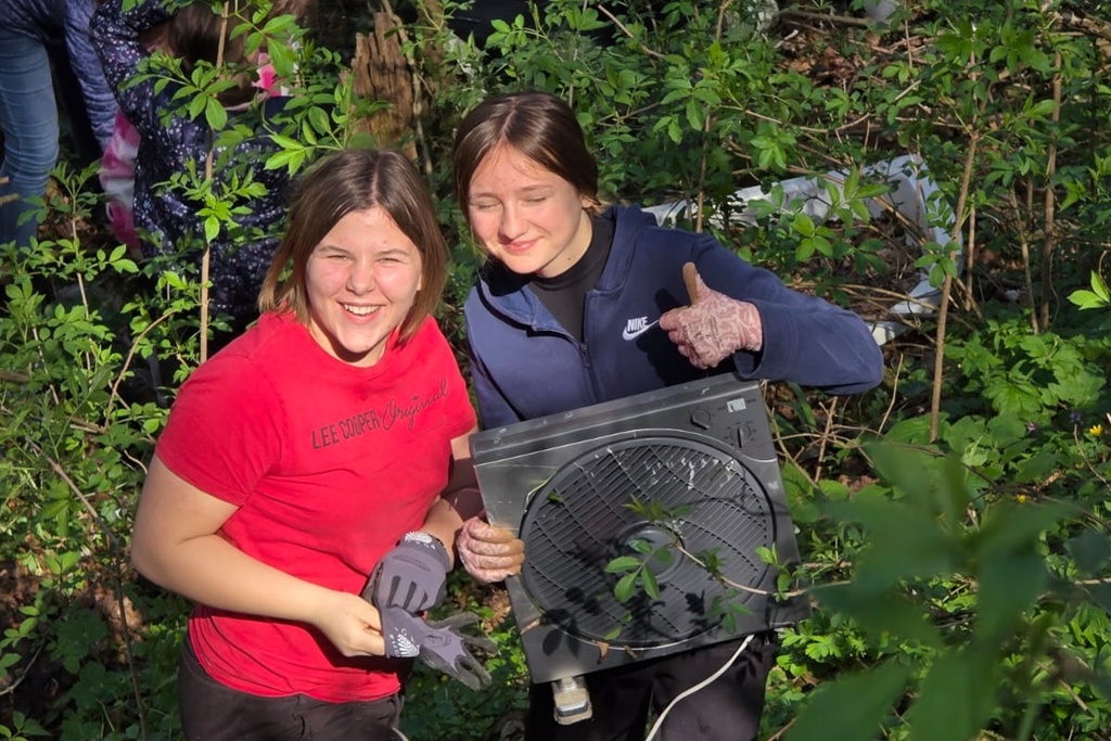 bednja-zelena cistka (12) bednja-zelena cistka (12)