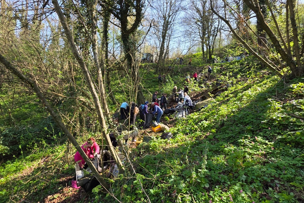 bednja-zelena cistka (13) bednja-zelena cistka (13)