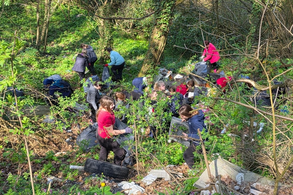bednja-zelena cistka (14) bednja-zelena cistka (14)