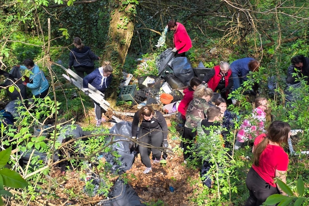bednja-zelena cistka (16) bednja-zelena cistka (16)