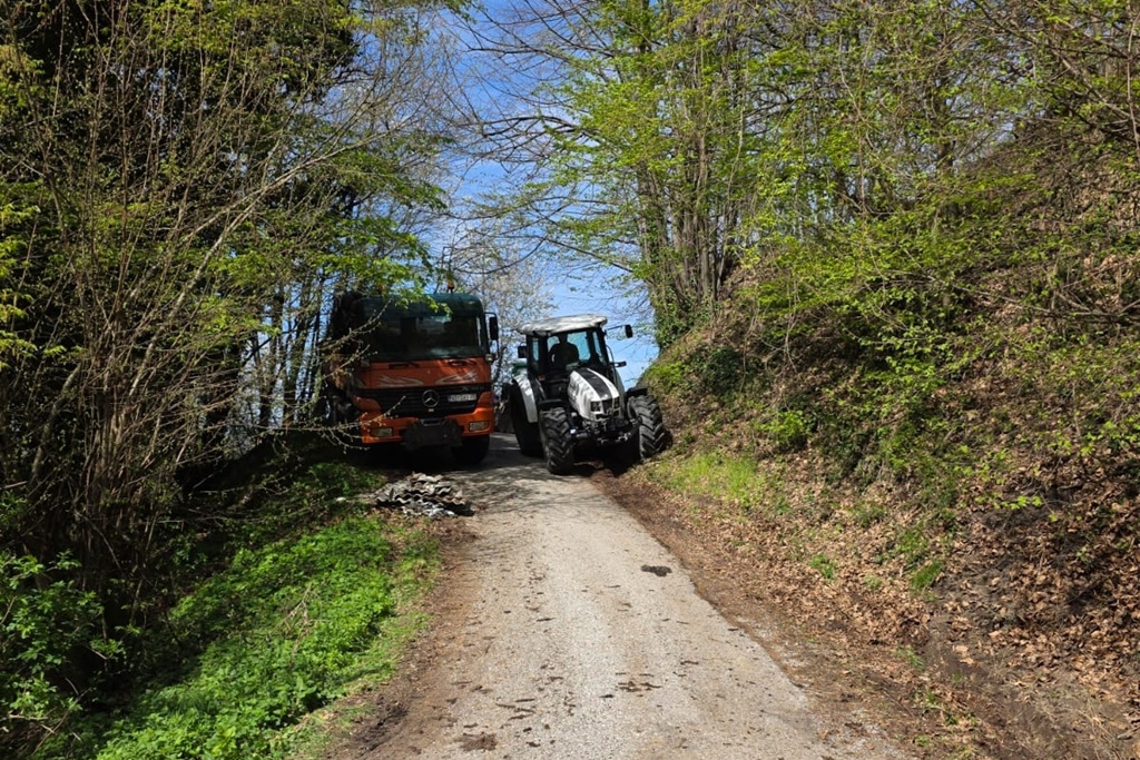 bednja-zelena cistka (17) bednja-zelena cistka (17)