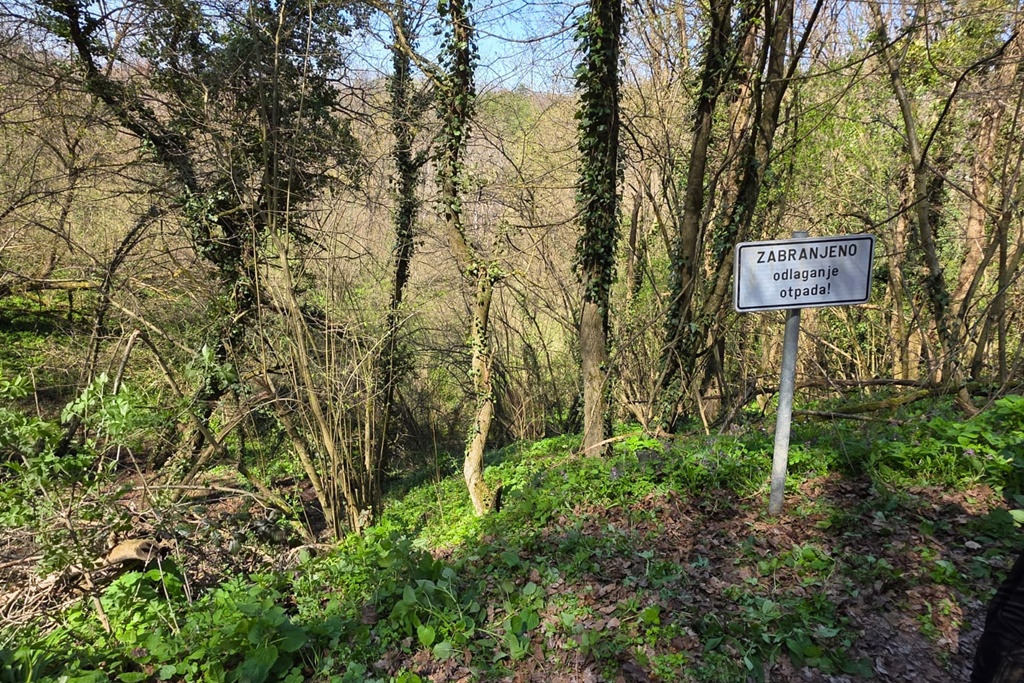 bednja-zelena cistka (2) bednja-zelena cistka (2)