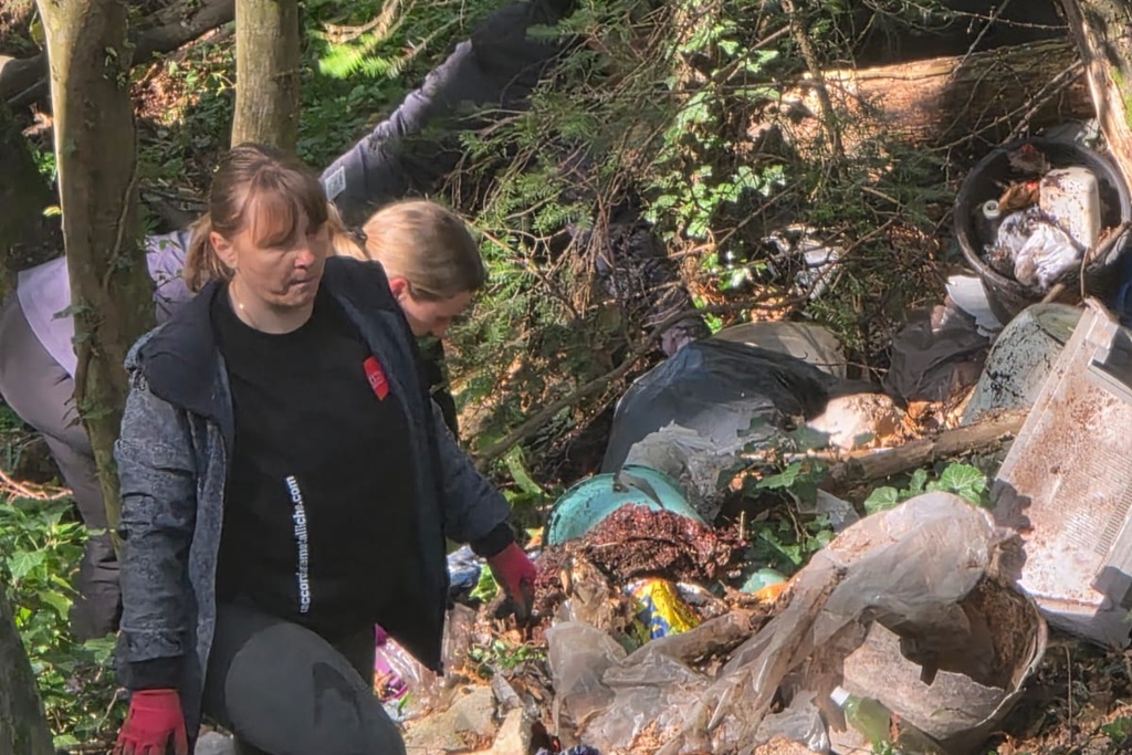 bednja-zelena cistka (25) bednja-zelena cistka (25)