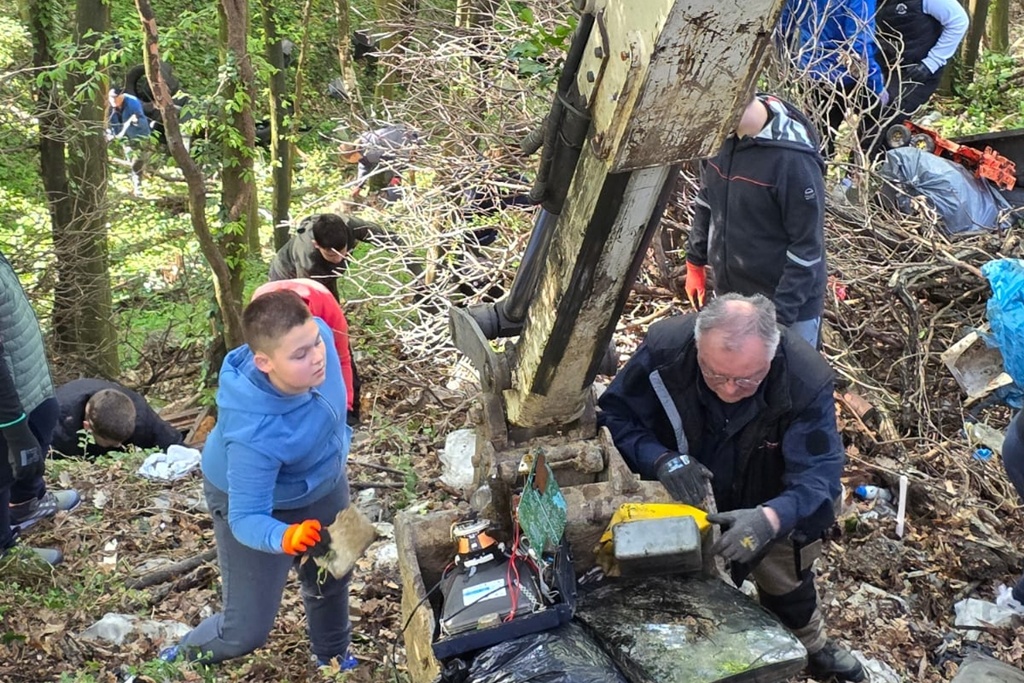 bednja-zelena cistka (27) bednja-zelena cistka (27)