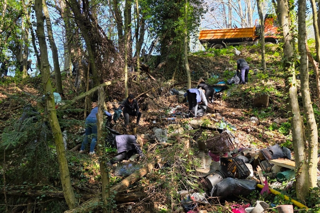 bednja-zelena cistka (29) bednja-zelena cistka (29)