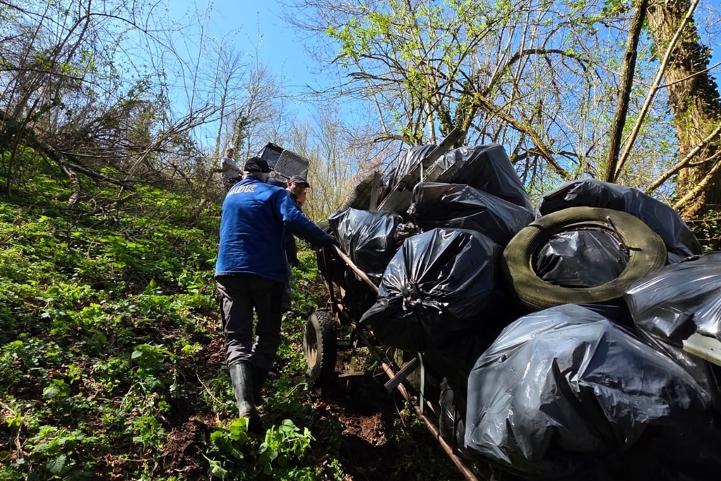 bednja-zelena cistka (3). bednja-zelena cistka (3).
