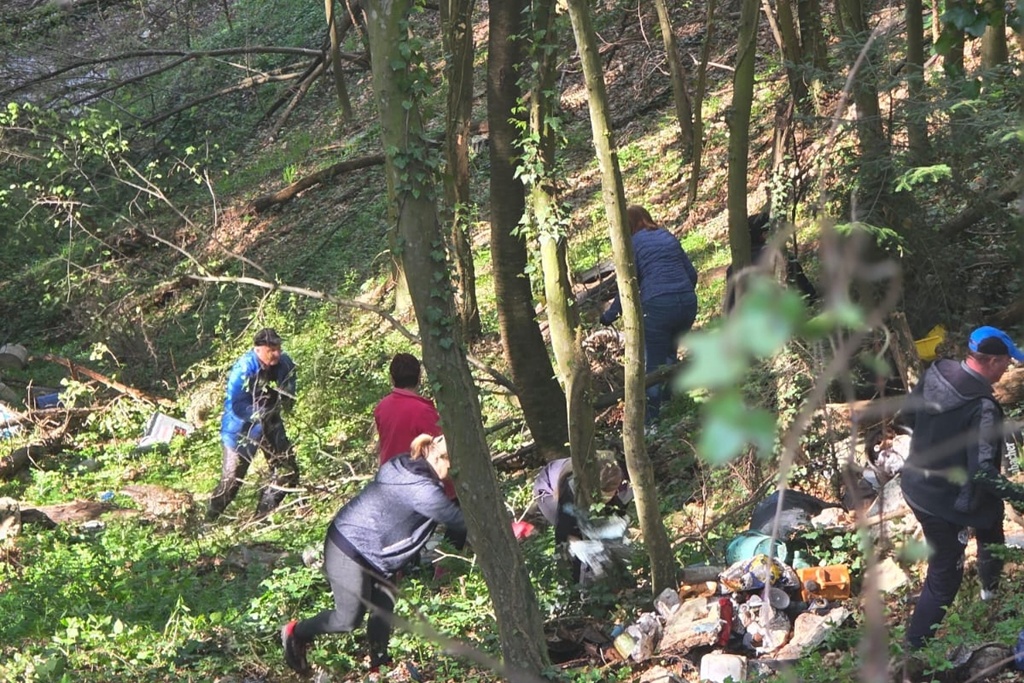 bednja-zelena cistka (30) bednja-zelena cistka (30)