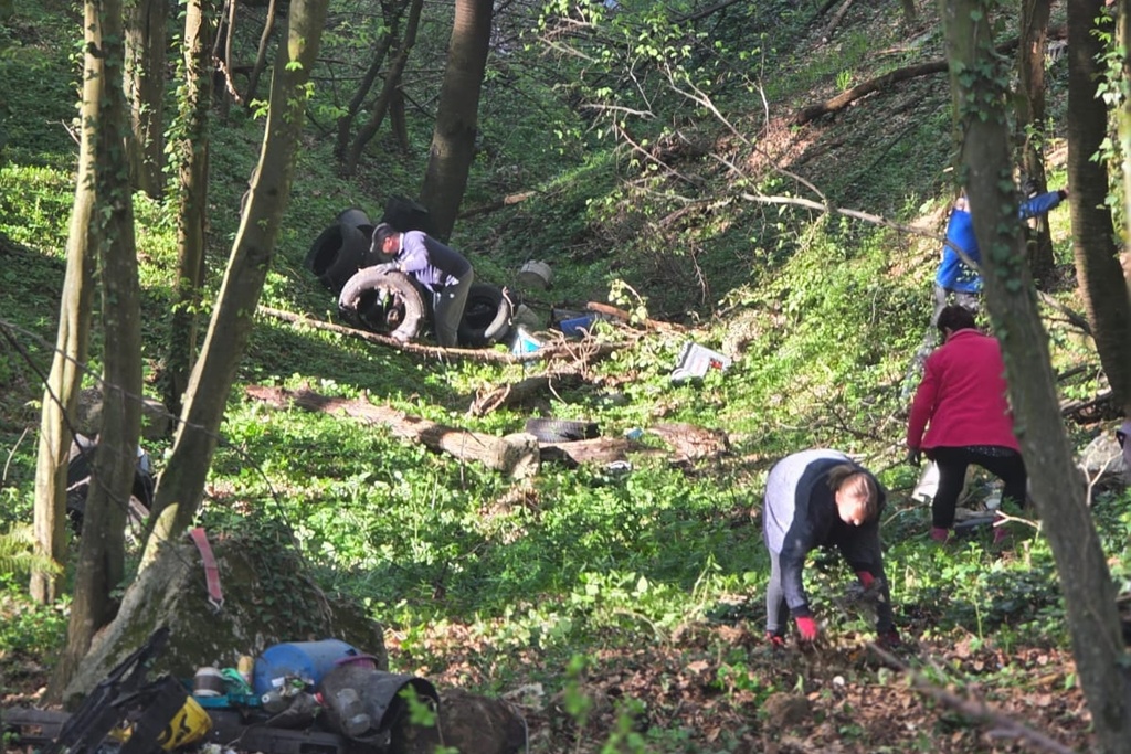 bednja-zelena cistka (31) bednja-zelena cistka (31)