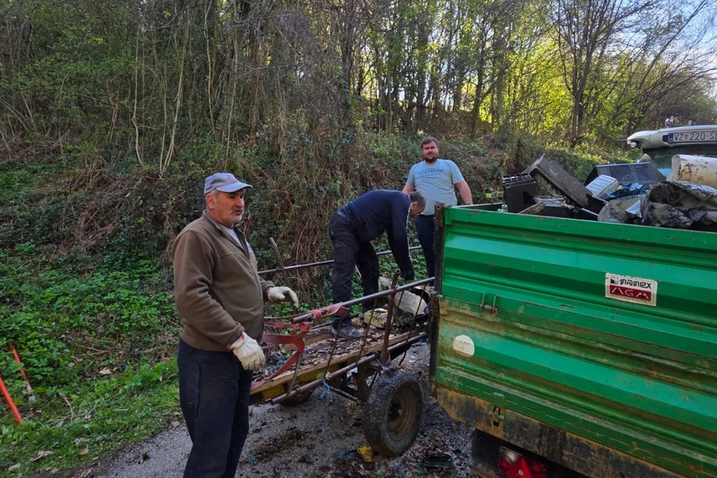 bednja-zelena cistka (34) bednja-zelena cistka (34)