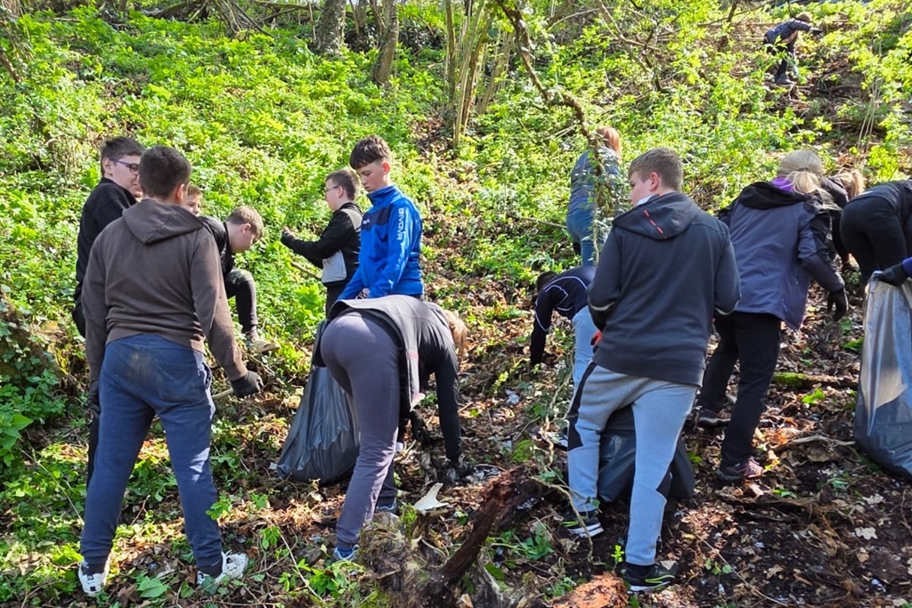 bednja-zelena cistka (4) bednja-zelena cistka (4)