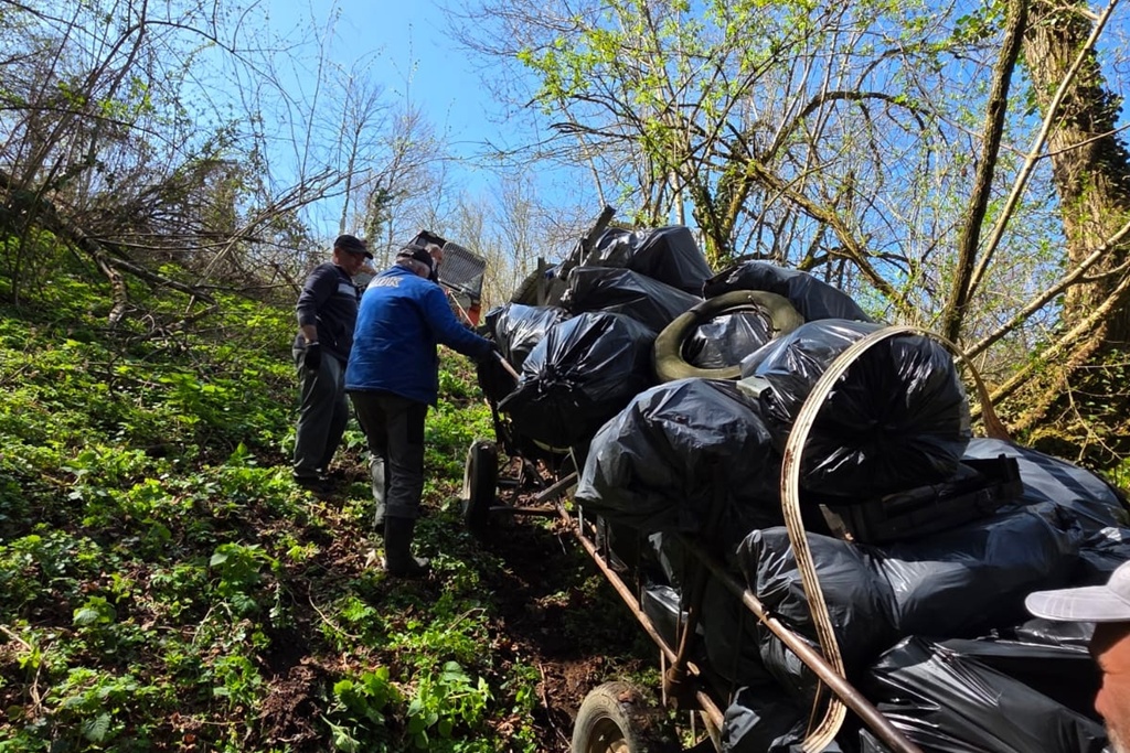 bednja-zelena cistka (6) bednja-zelena cistka (6)