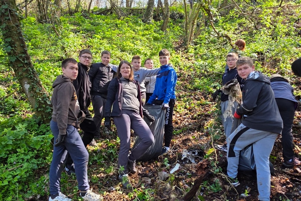 bednja-zelena cistka (7) bednja-zelena cistka (7)