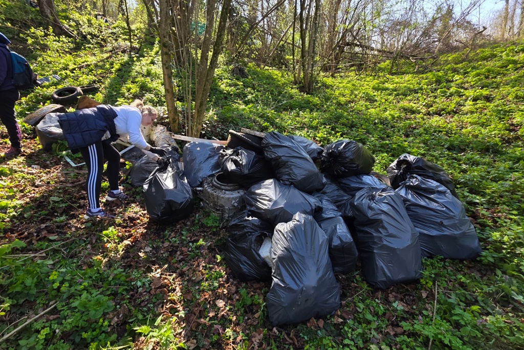 bednja-zelena cistka (8) bednja-zelena cistka (8)