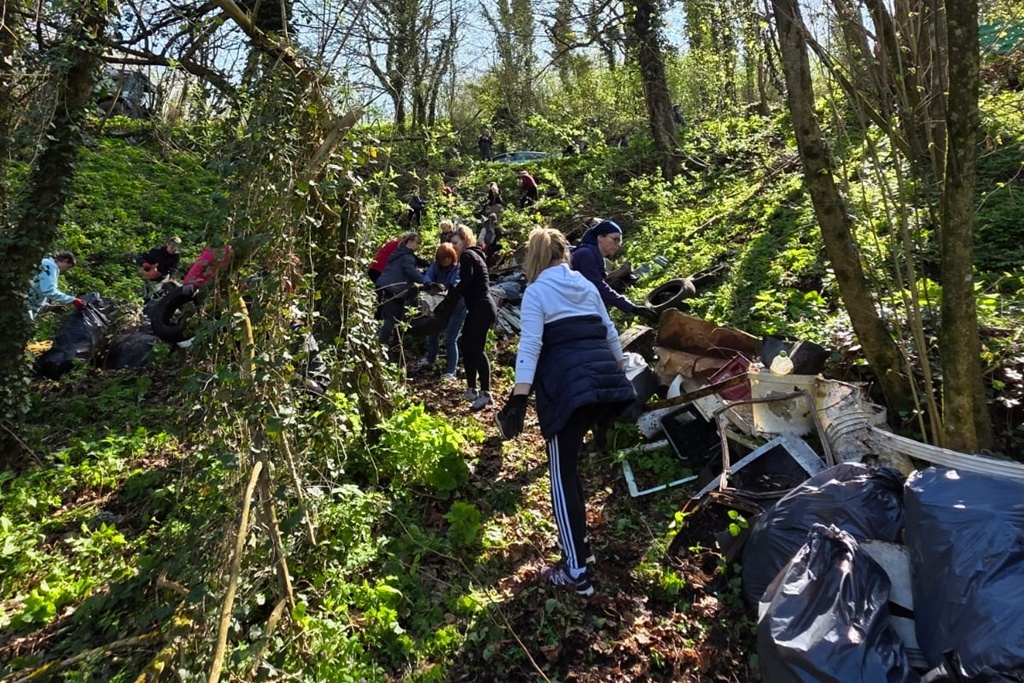 bednja-zelena cistka (9) bednja-zelena cistka (9)