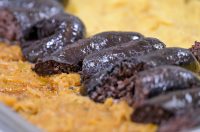 bez_zelja_nema_veselja_gospodarska_skola_2026 (7)