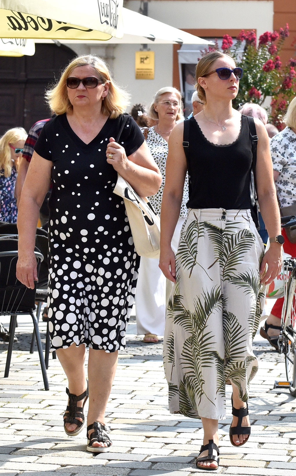 Image 5806557 (auto)