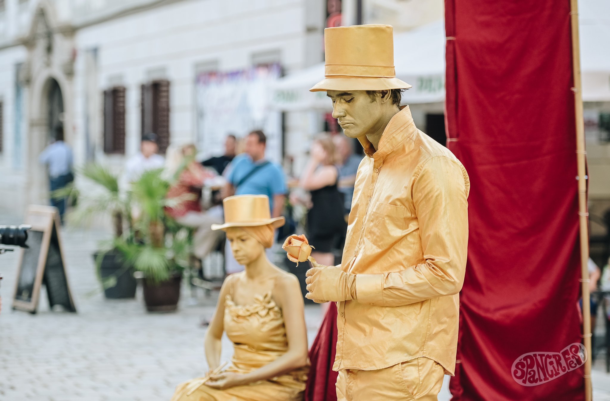 Image 5455184 (auto)