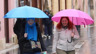 Image 5529762 (auto)