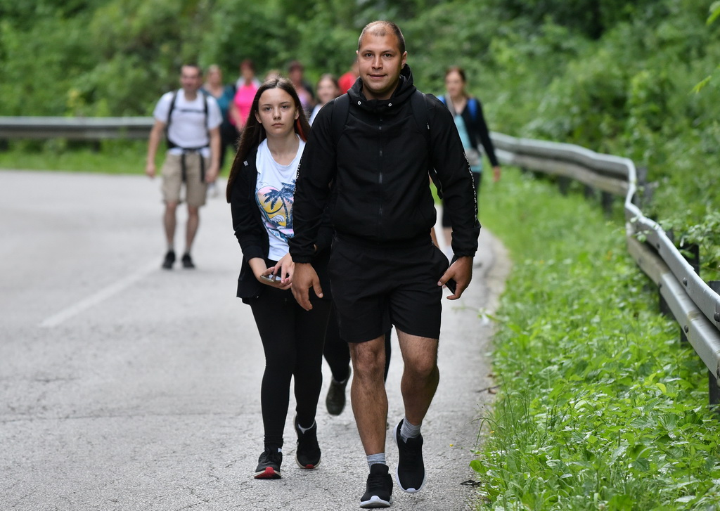 Image 4542368 (auto)