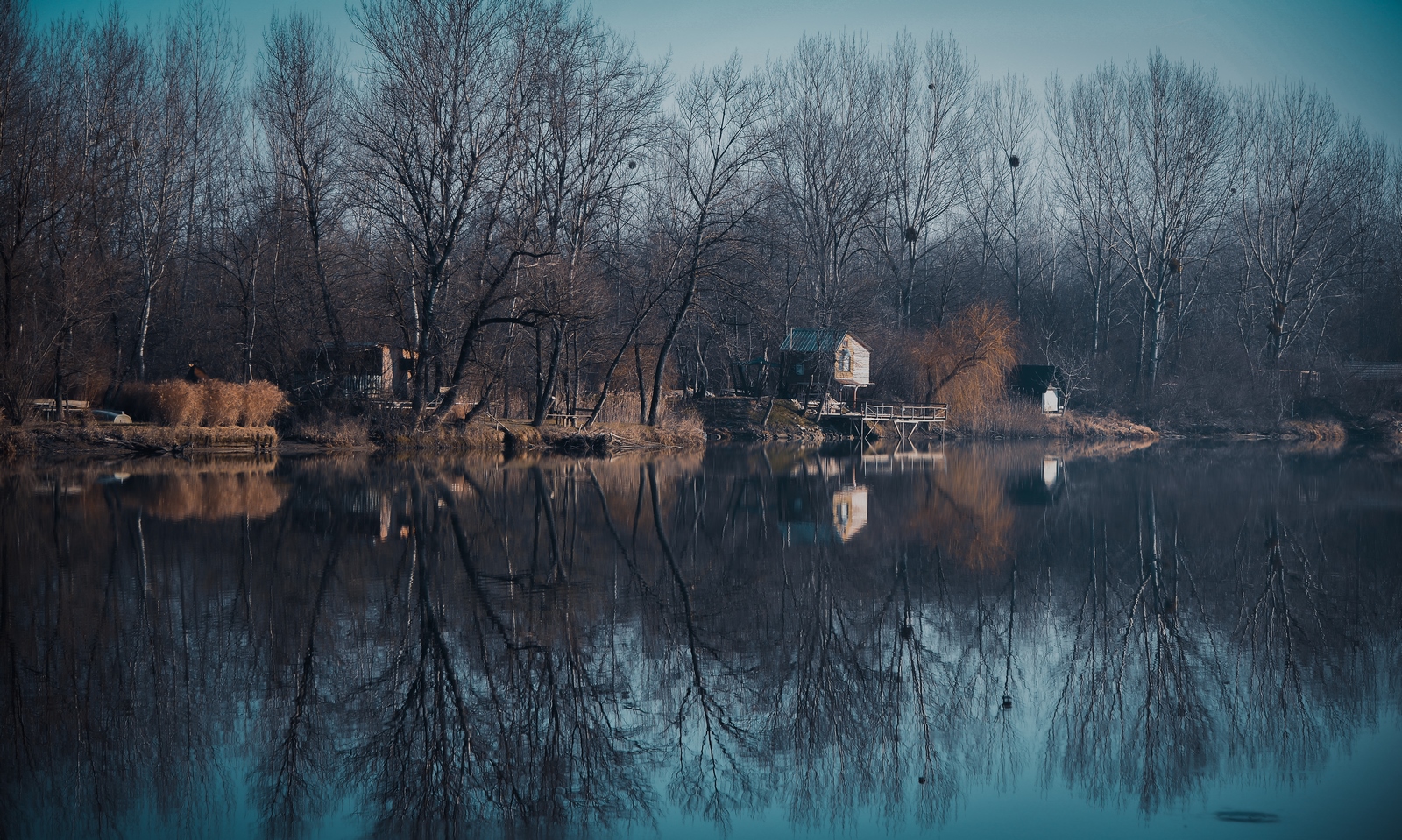 Drava, dravska špica, zima 21.1.2020.