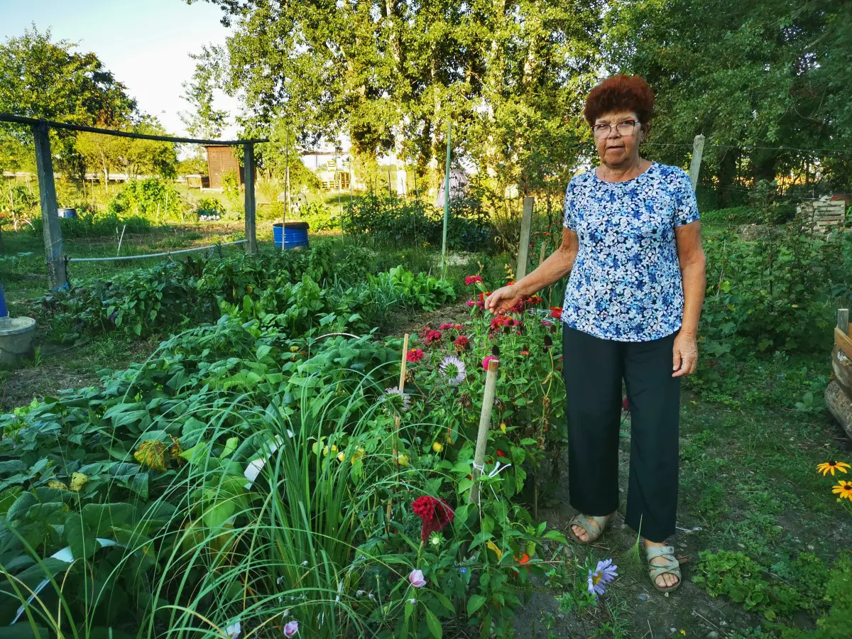 biskupecki vrtovi 2025 – goran stimec 01