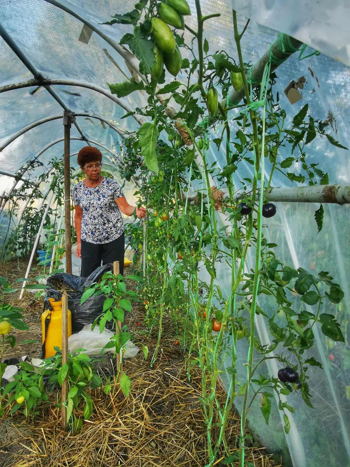 biskupecki vrtovi 2025 – goran stimec 04