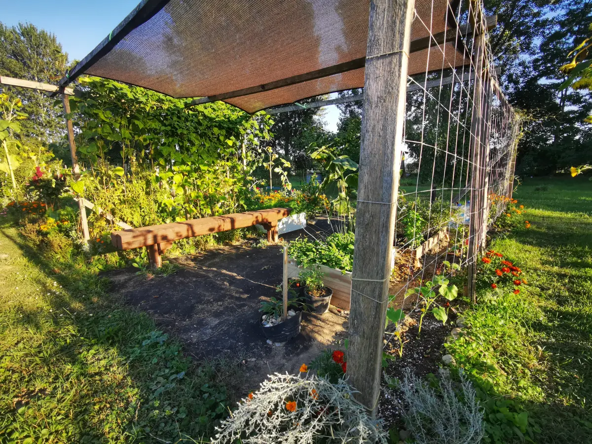 biskupecki vrtovi 2025 – goran stimec 06